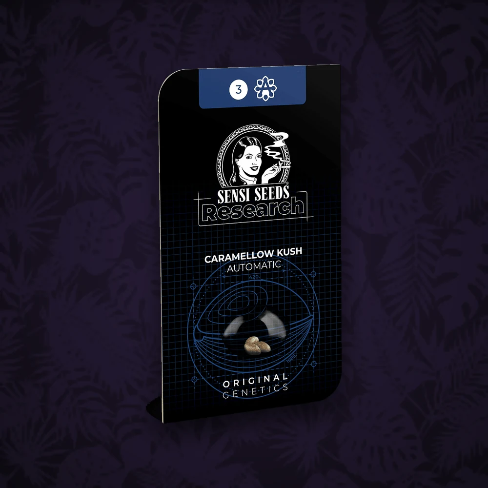 Sensi Seeds - Caramellow Kush - Automatic - 3 Stück — Ansicht 2